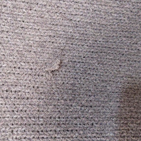 USED EDDIE BAUER Rest and Repeat Funnel Neck Sweater SIZE M COLOR GRAY GREEN - Picture 5 of 10